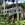 Hawaii / Maui ~ Haupthaus