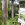 Hawaii / Maui ~ Haupthaus