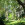 Hawaii / Maui ~ Haupthaus