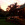 Hawaii / Maui ~ Cottage