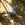 Hawaii / Maui ~ Natur